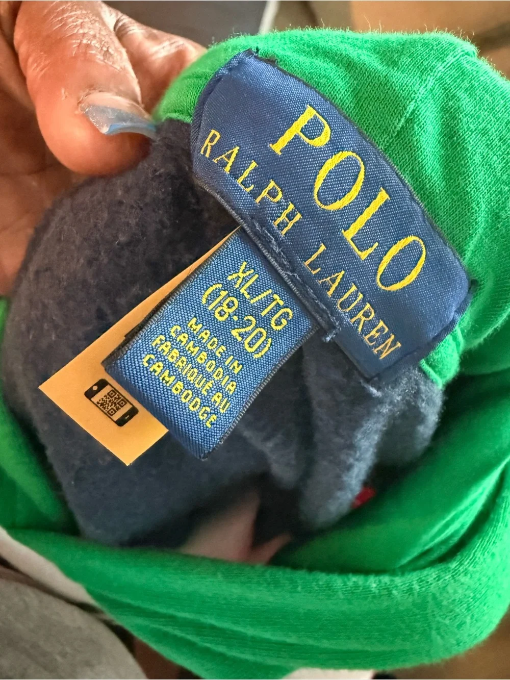 Polo by Ralph Lauren Green and Navy Hooded Pullover